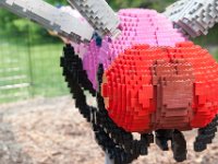 MortonArb Legos Dragonfly-2 : Morton Arboritum